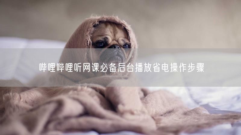 哔哩哔哩听网课必备后台播放省电操作步骤