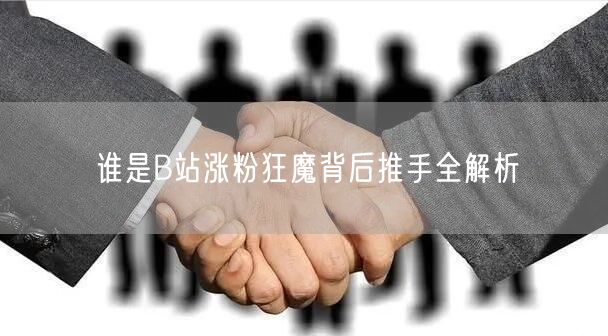 谁是B站涨粉狂魔背后推手全解析
