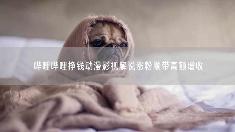 哔哩哔哩挣钱动漫影视解说涨粉顺带高额增收