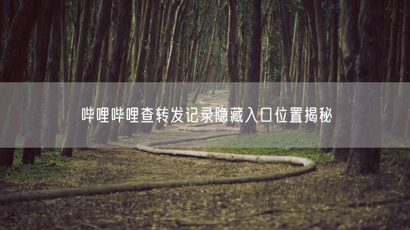 哔哩哔哩查转发记录隐藏入口位置揭秘