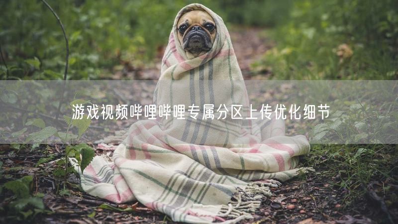 游戏视频哔哩哔哩专属分区上传优化细节