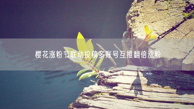 樱花涨粉节联动投稿多账号互推翻倍涨粉