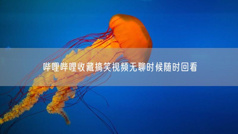 哔哩哔哩收藏搞笑视频无聊时候随时回看