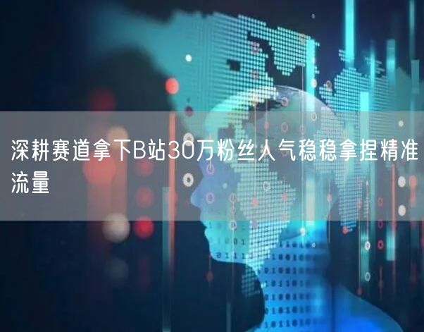 深耕赛道拿下B站30万粉丝人气稳稳拿捏精准流量