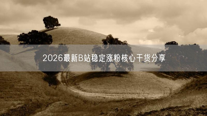 2026最新B站稳定涨粉核心干货分享