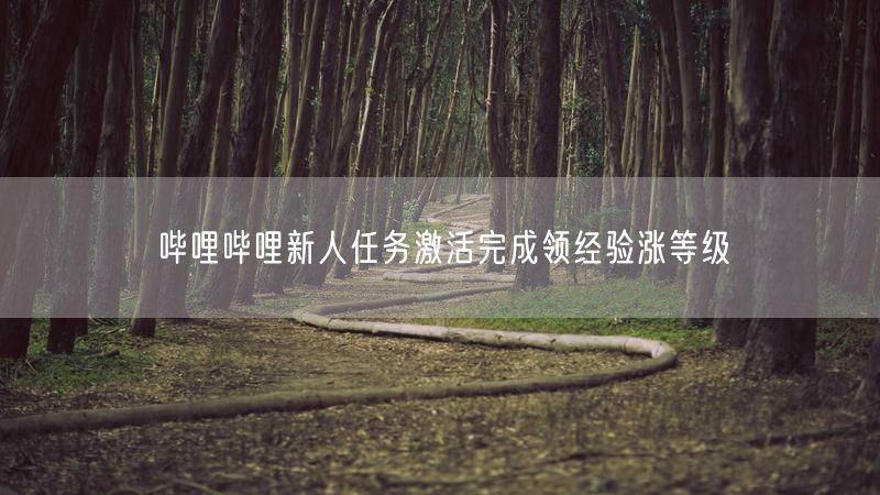 哔哩哔哩新人任务激活完成领经验涨等级