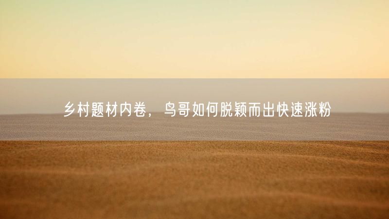 乡村题材内卷，鸟哥如何脱颖而出快速涨粉