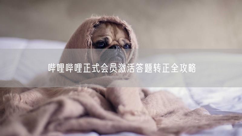 哔哩哔哩正式会员激活答题转正全攻略