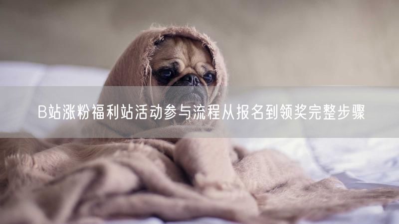 B站涨粉福利站活动参与流程从报名到领奖完整步骤