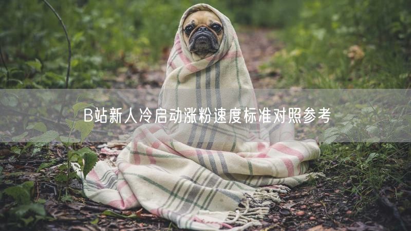 B站新人冷启动涨粉速度标准对照参考