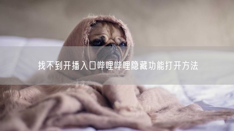 找不到开播入口哔哩哔哩隐藏功能打开方法