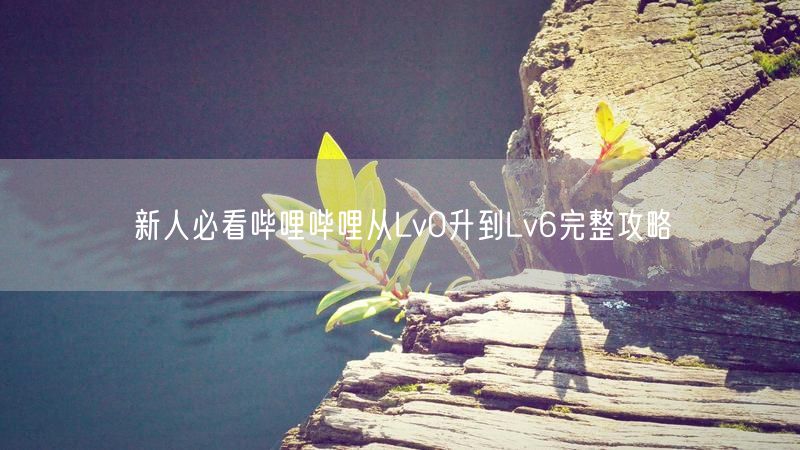 新人必看哔哩哔哩从Lv0升到Lv6完整攻略